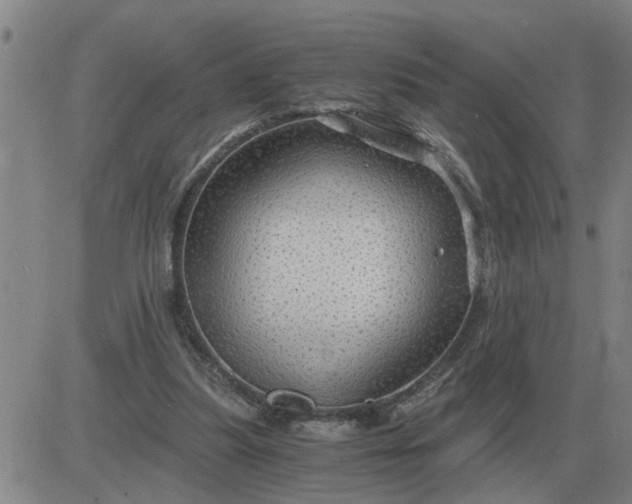 X0000084030251200703022130