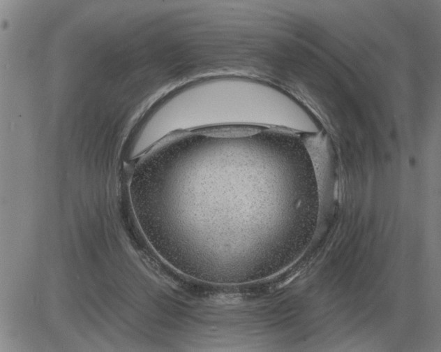 X0000084030252200703022130