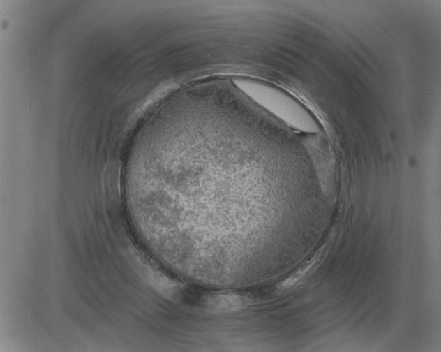 X0000084030253200703022130