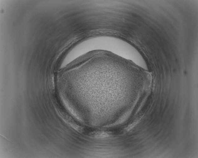 X0000084030254200703022130