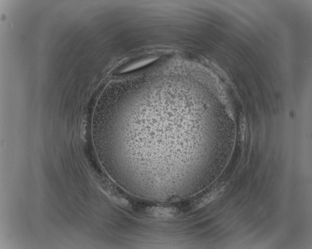 X0000084030255200703022130