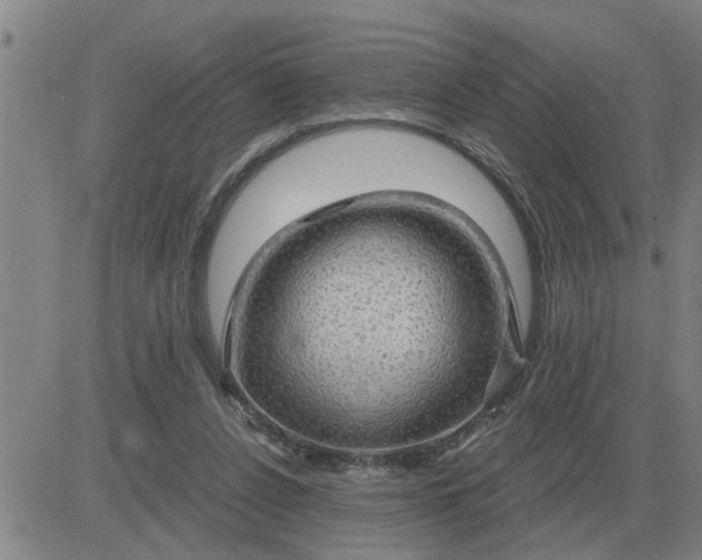 X0000084030256200703022130