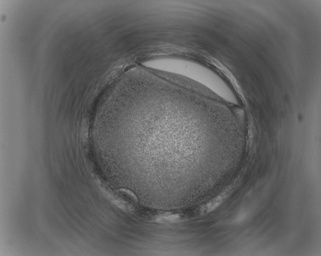 X0000084030257200703022130