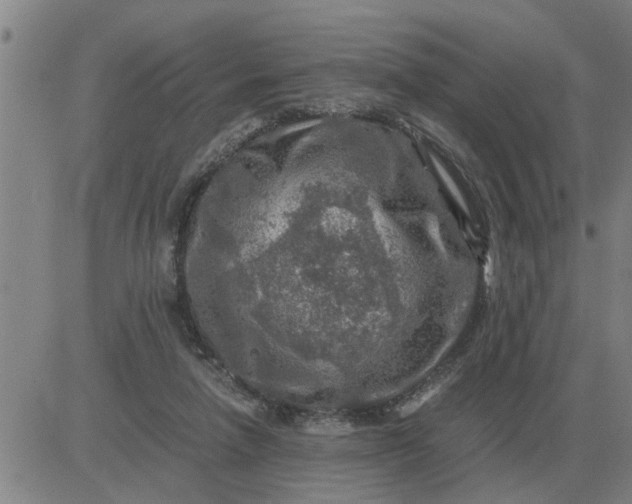 X0000084030258200703022130