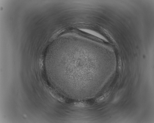 X0000084030259200703022130