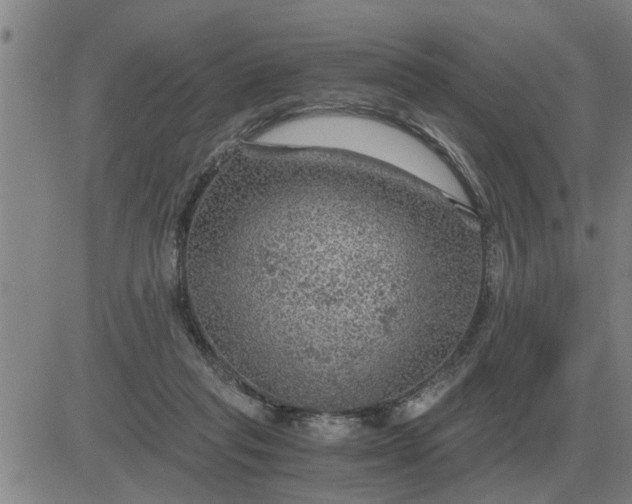 X0000084030261200703022130