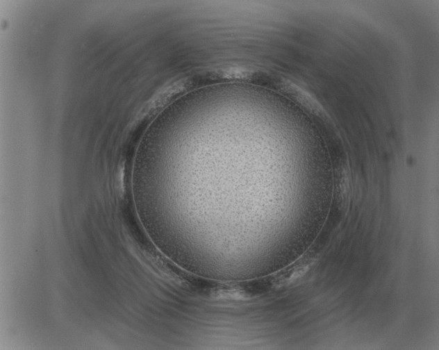 X0000084030262200703022130