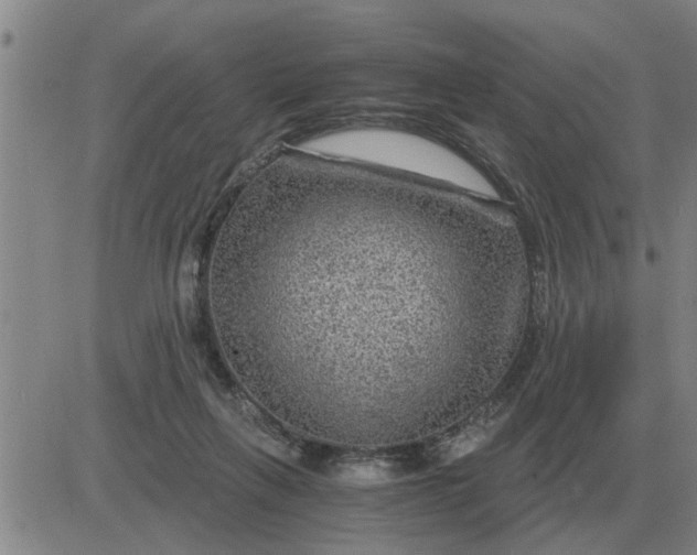 X0000084030263200703022130