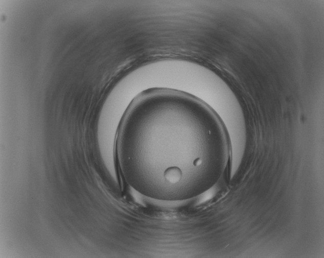 X0000084030264200703022130