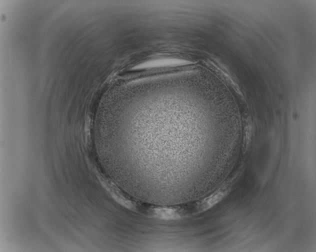 X0000084030265200703022130