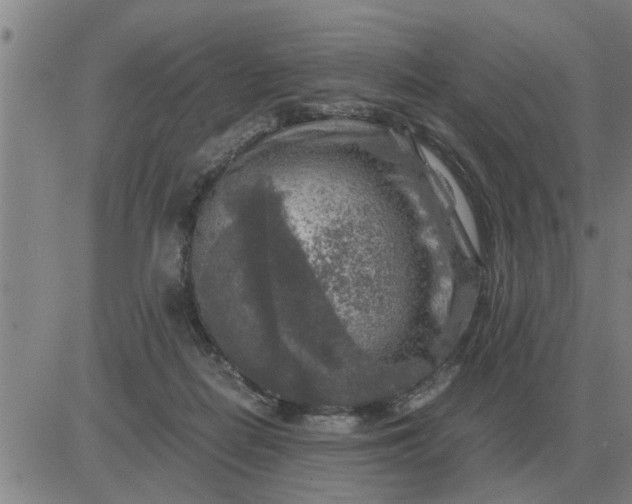 X0000084030266200703022130