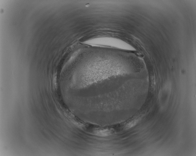 X0000084030267200703022130