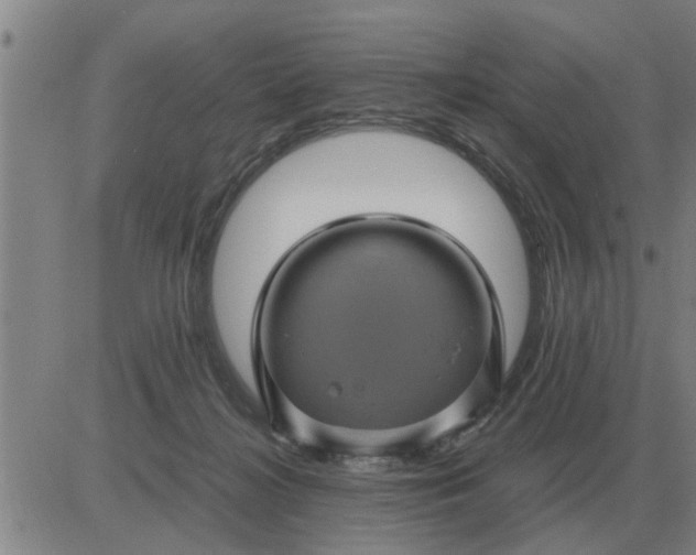 X0000084030268200703022130