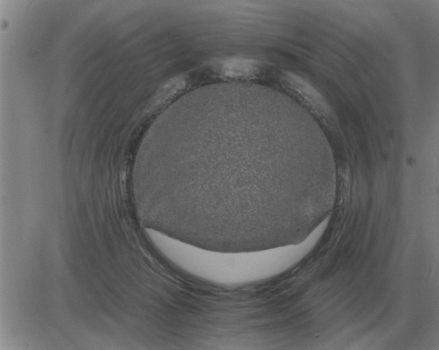 X0000084030269200703022130