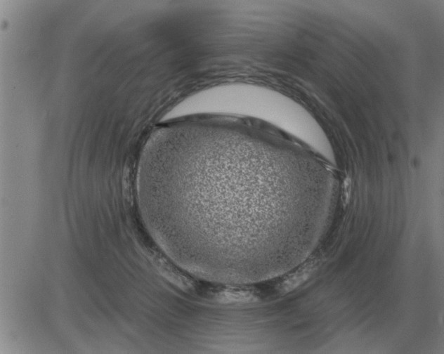 X0000084030270200703022130