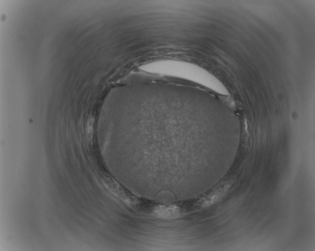 X0000084030271200703022130