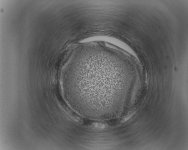 X0000084030272200703022130