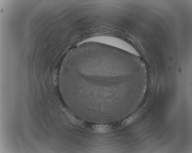 X0000084030273200703022130