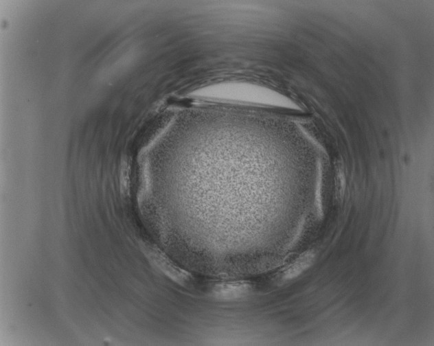 X0000084030274200703022130