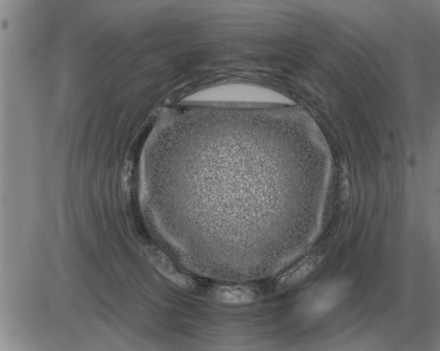 X0000084030275200703022130