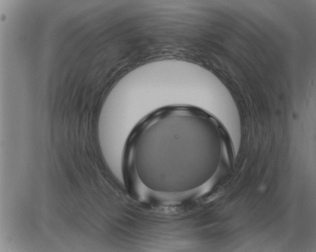 X0000084030276200703022130