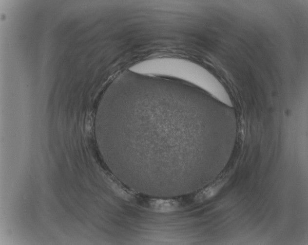 X0000084030277200703022130