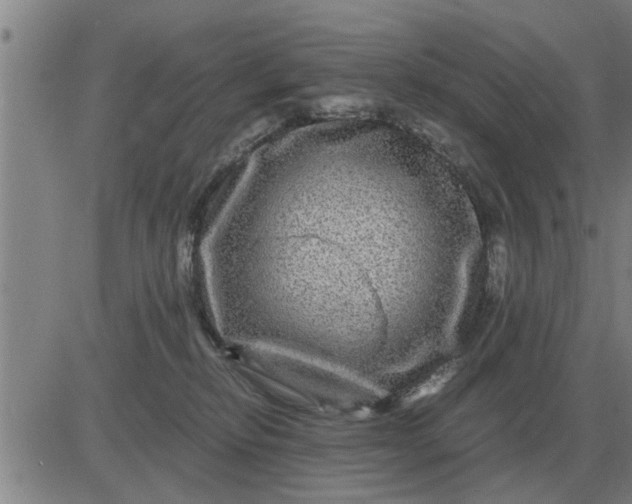 X0000084030278200703022130