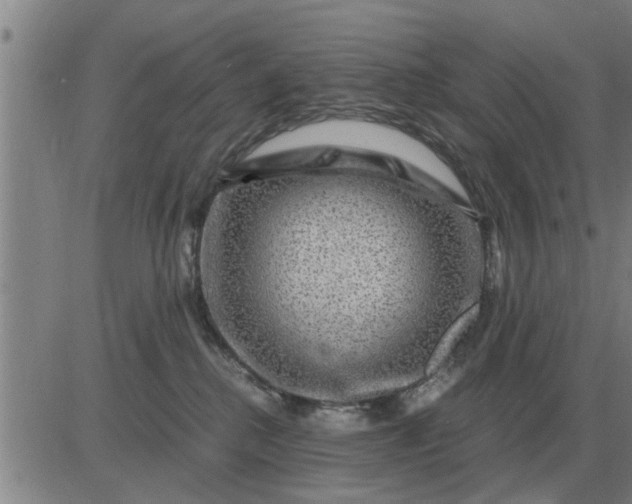 X0000084030280200703022130