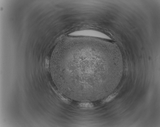 X0000084030281200703022130