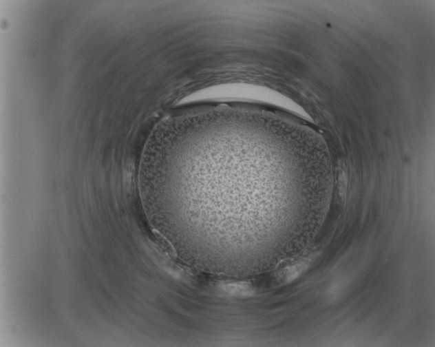 X0000084030283200703022130