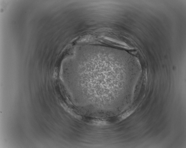 X0000084030284200703022130