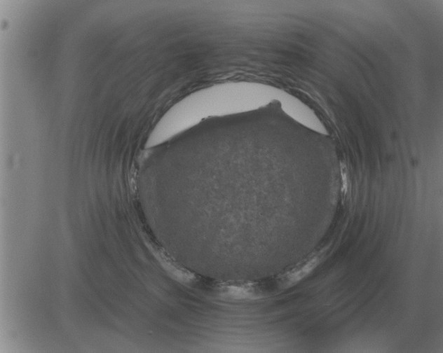 X0000084030285200703022130