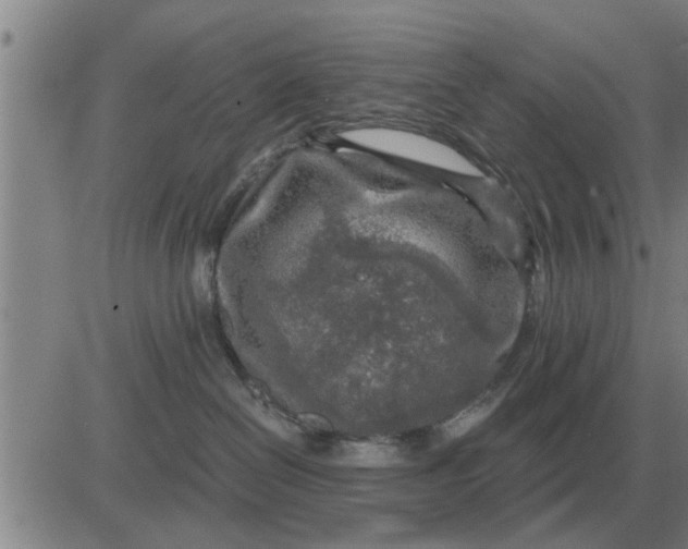 X0000084030286200703022130