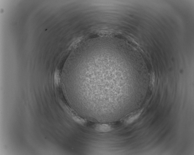 X0000084030287200703022130