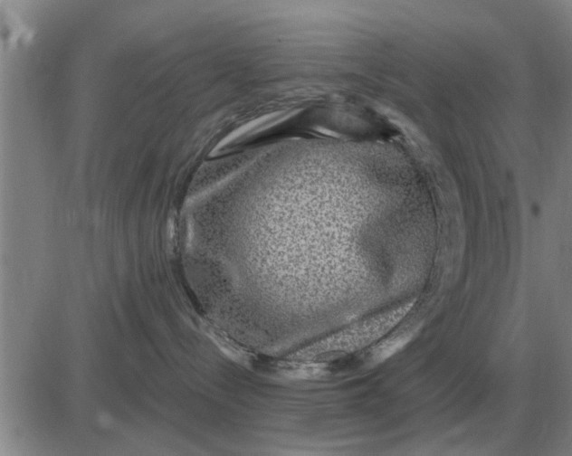 X0000084030288200703022130