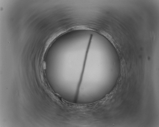 X0000084030289200703022130