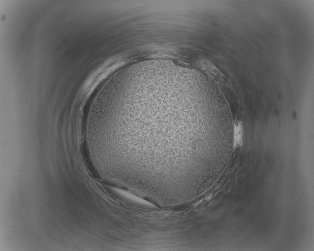 X0000084030291200703022130