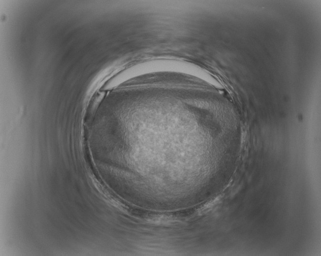 X0000084030293200703022130