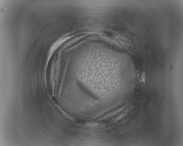 X0000084030294200703022130