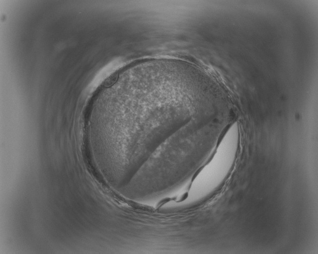 X0000084030295200703022130