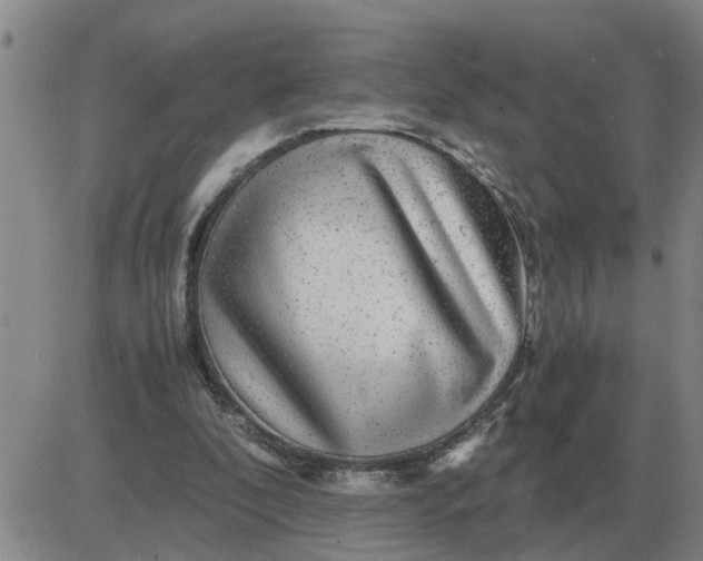 X0000084030296200703022130