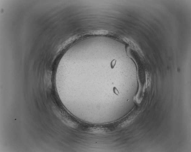 X0000084030300200703022129