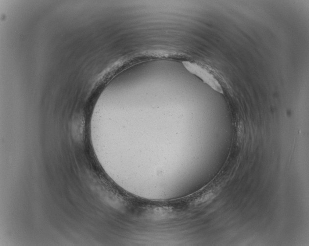 X0000084030304200703022129