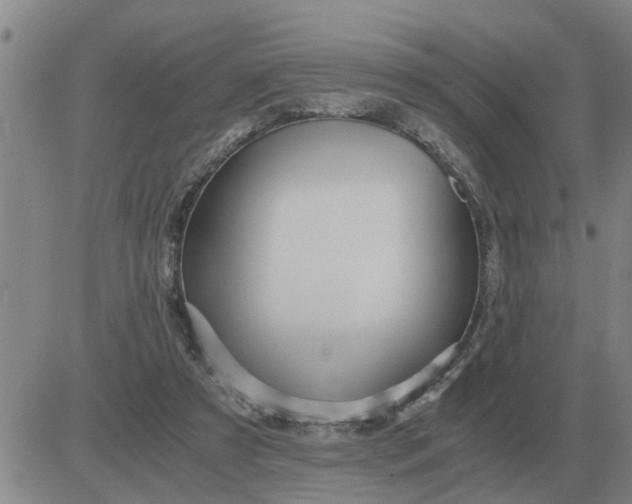 X0000084030305200703022129