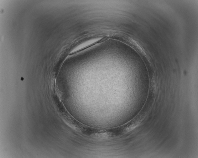 X0000084030307200703022129