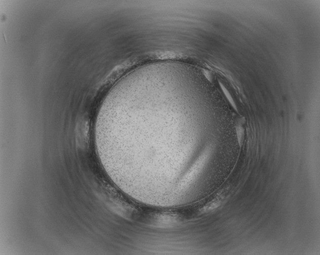 X0000084030308200703022129