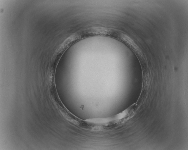 X0000084030309200703022129