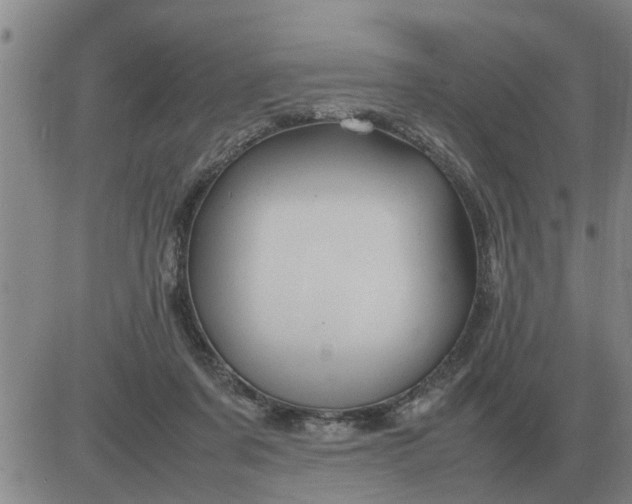 X0000084030311200703022129