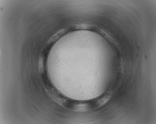 X0000084030312200703022129