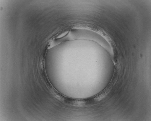 X0000084030313200703022129